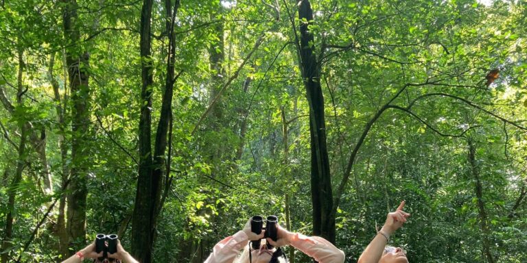 Birdwatchers with binoculars looking up into the rainforest canopy in the Tenorio Rainforest, Costa Rica