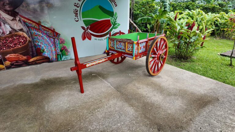 Hand-painted traditional Costa Rican oxcart at a coffee and cacao farm