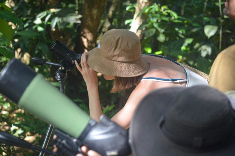 Guest looking through a spotting scope on a guided wildlife walk in the Tenorio Rainforest, Costa Rica