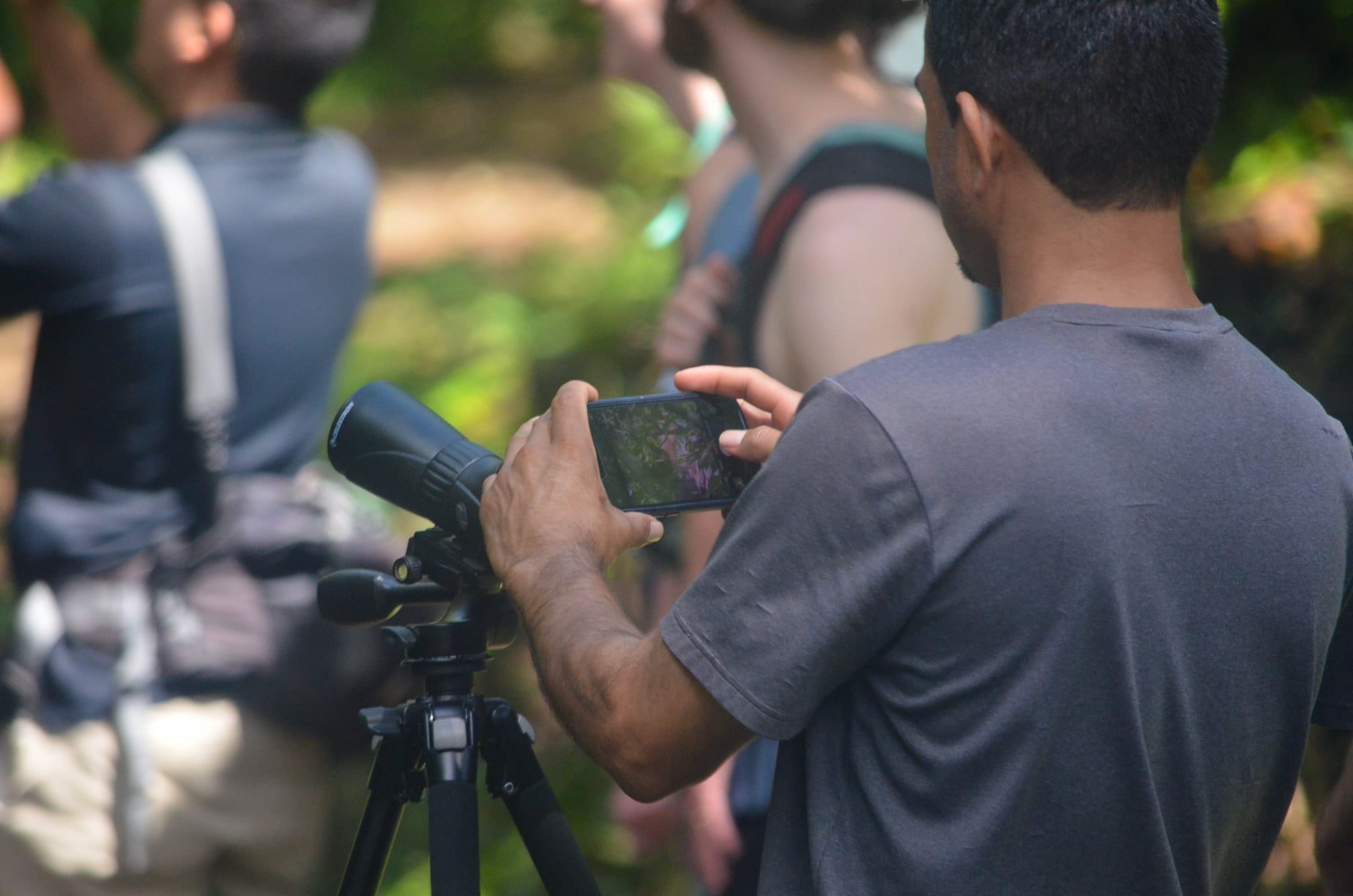 Guide using a spotting scope to show wildlife in the Tenorio rainforest