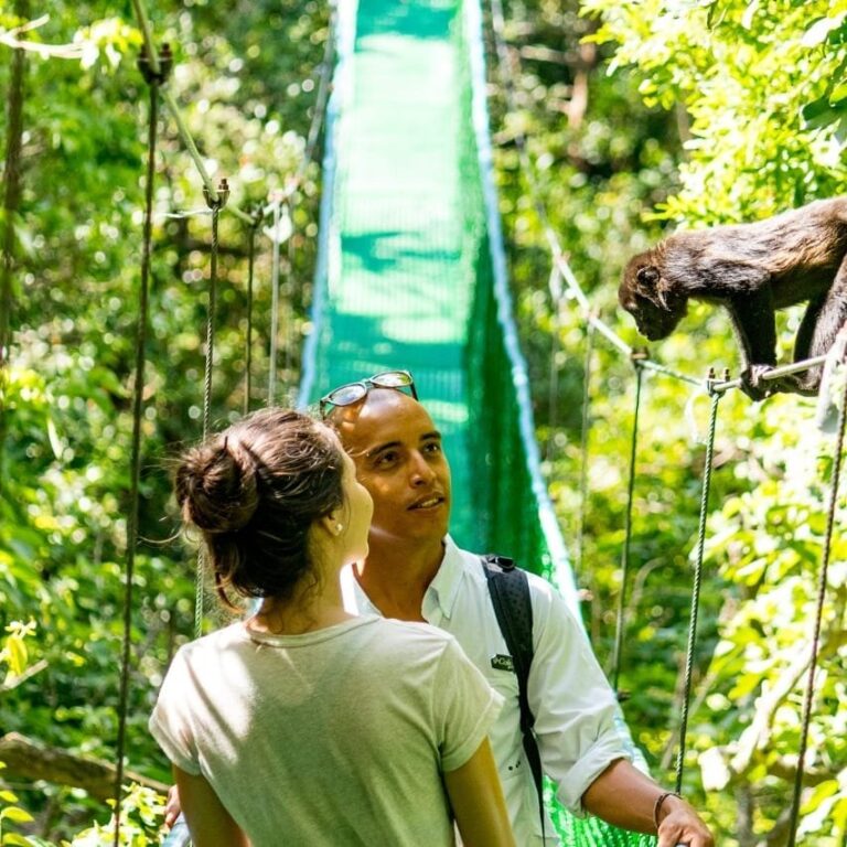 Guide and guest on a hanging bridge watching a monkey on the railing at Rincón de la Vieja, Costa Rica