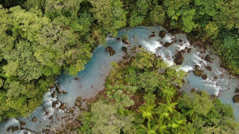 Aerial view of the sky-blue Río Celeste winding through the rainforest near Bijagua, Costa Rica