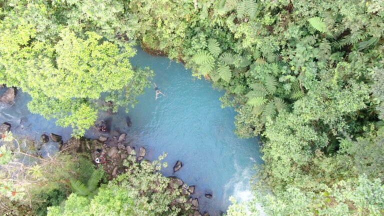 Aerial view of a guest swimming in a turquoise pool of Río Celeste surrounded by rainforest, Bijagua