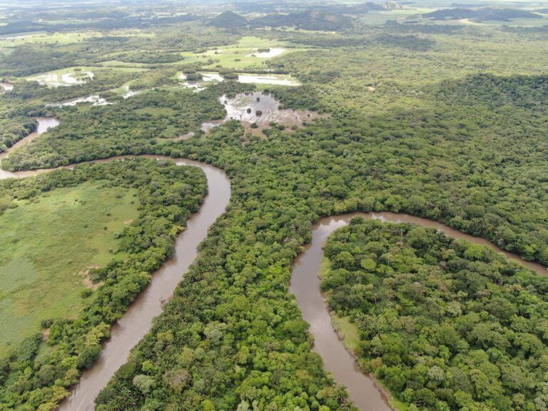 Aerial view of the winding Tempisque River, forest and wetlands of Palo Verde, Guanacaste, Costa Rica