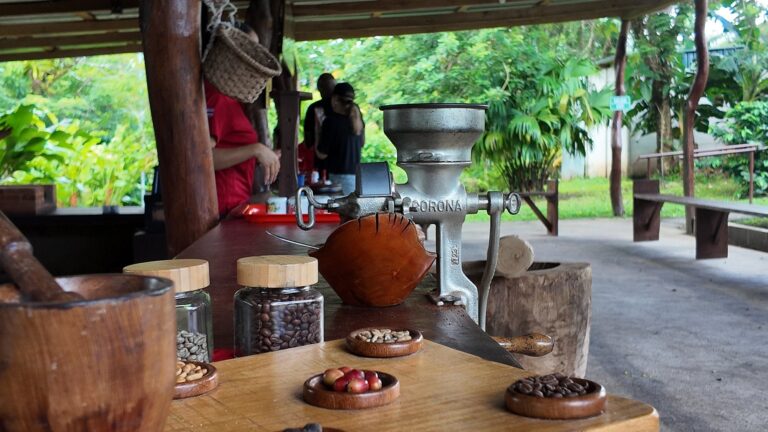Traditional hand grinder, wooden mortar and jars of green and roasted coffee beans on a coffee tour in Costa Rica