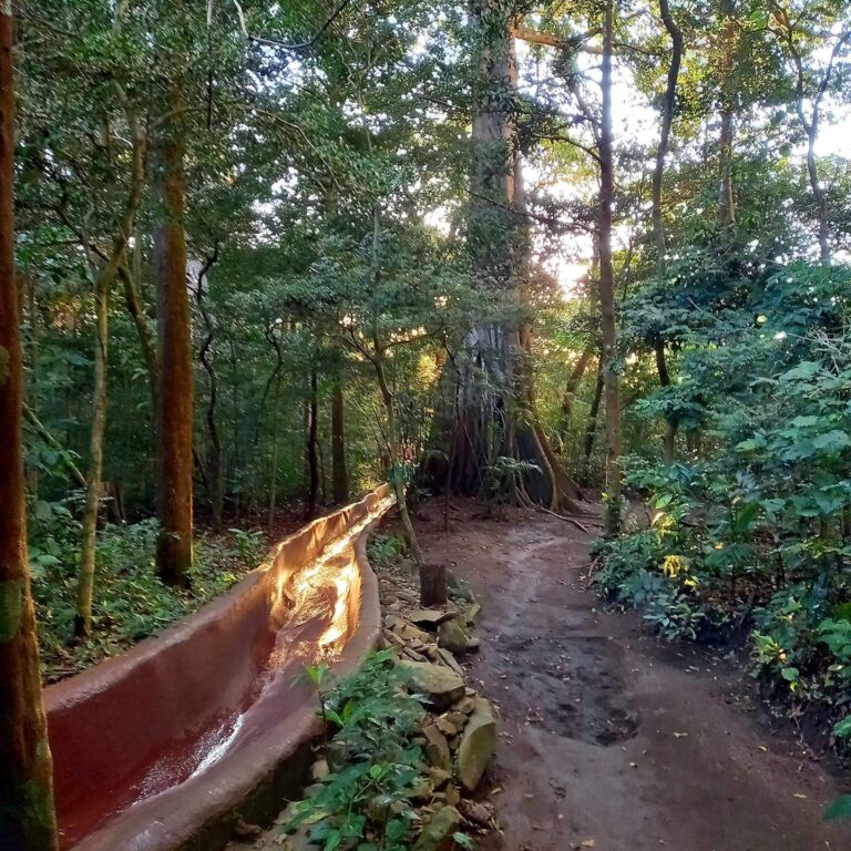 Mountain waterslide running through the forest at Rincón de la Vieja, Guanacaste, Costa Rica