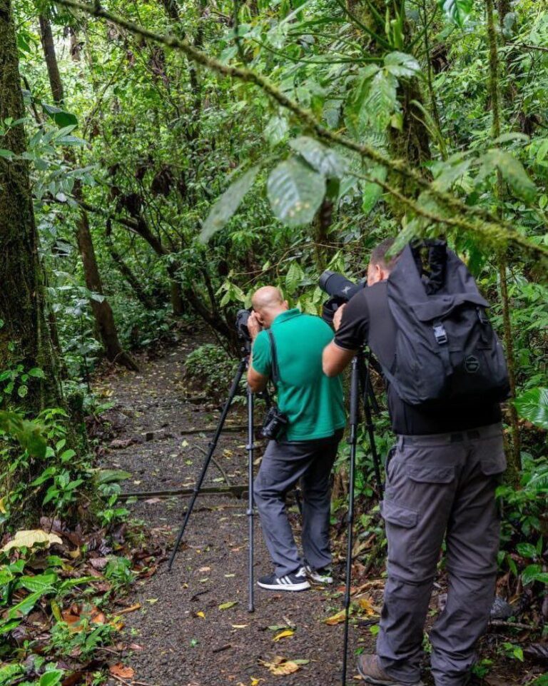 Two wildlife photographers with tripods on a rainforest trail in the Tenorio Rainforest, Costa Rica