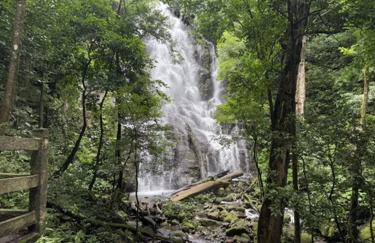 Tall waterfall cascading over rock in the forest of Rincón de la Vieja National Park, Costa Rica