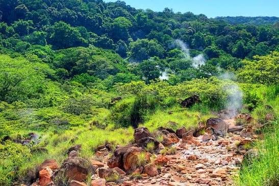 Steam rising from fumaroles on a green hillside in Rincón de la Vieja National Park, Costa Rica