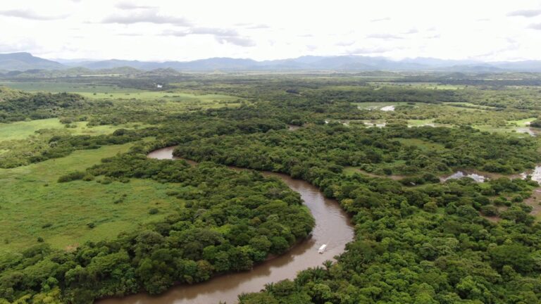 Aerial view of a tour boat on the Tempisque River with the Palo Verde wetlands and mountains behind, Costa Rica